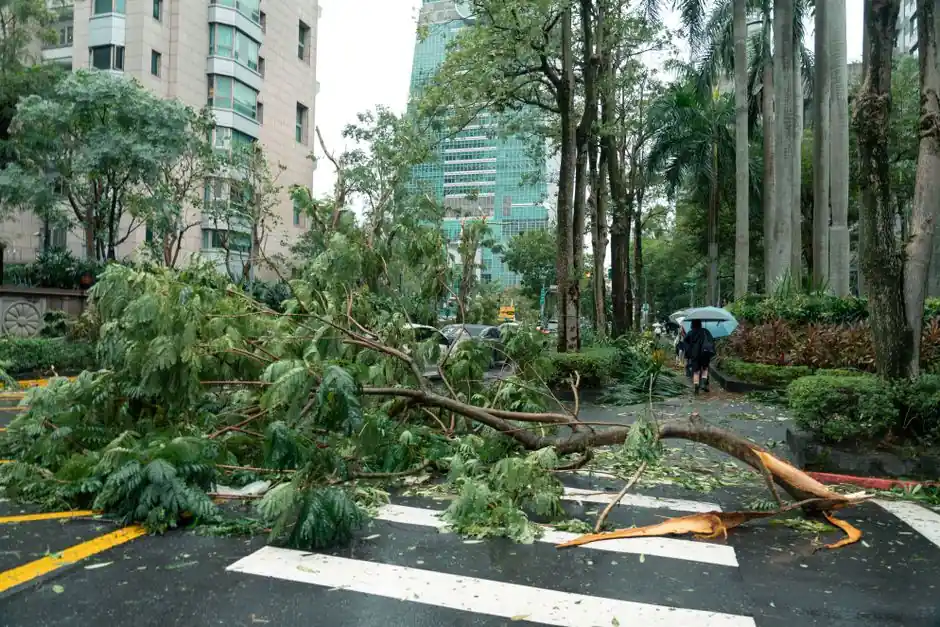 Preparing for storm damage cleanup in West Palm Beach