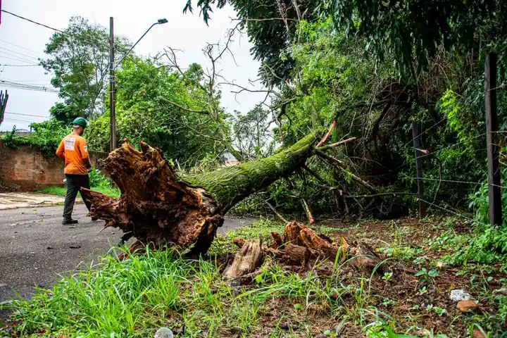 Storm Damage Cleanup you can count on
