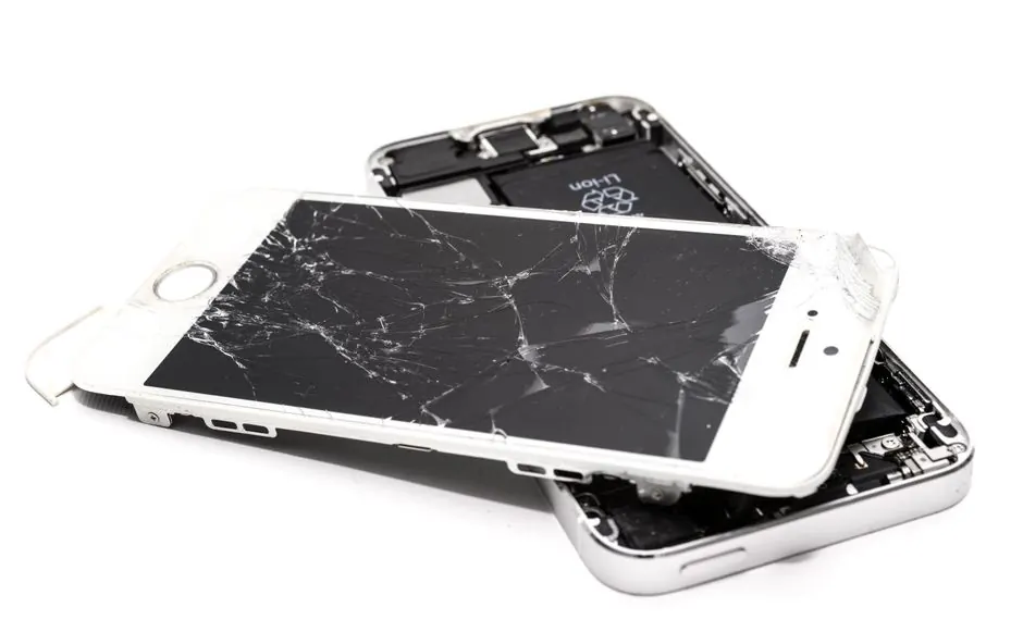 water damage restoration in west palm beach