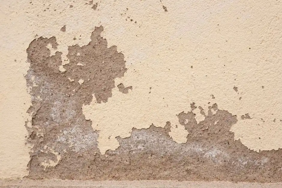 water damage restoration serving west palm beach